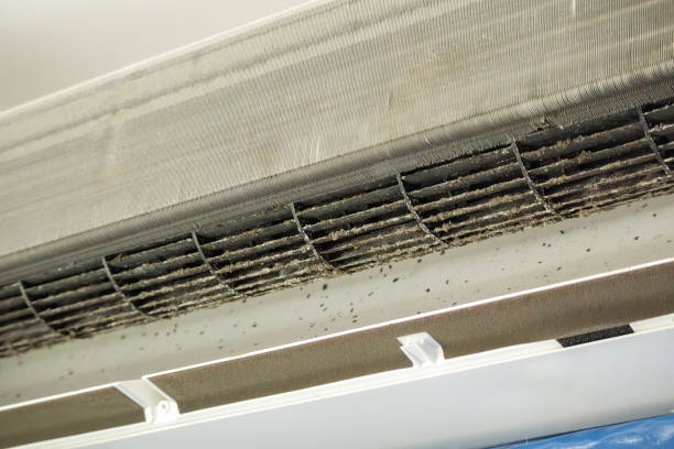 Best HVAC Duct Inspection Services  in Cassville, MO